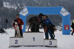 Lenk 2012 SM